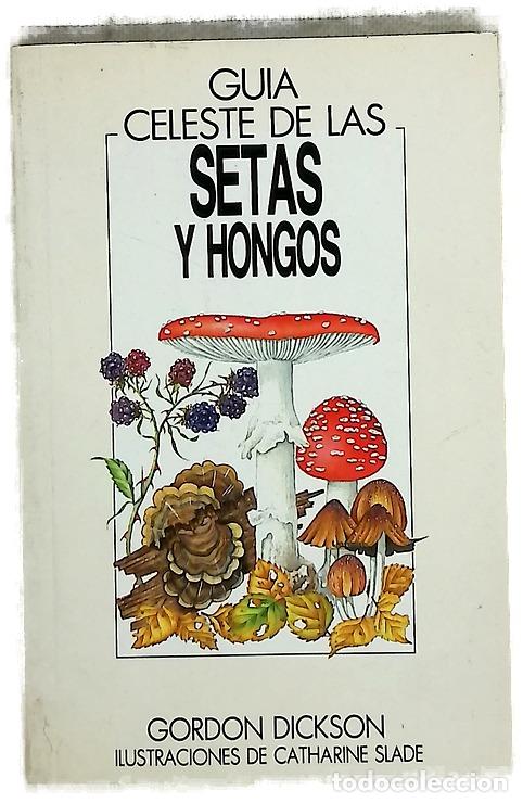 Livros em segunda m&atilde;o: Gu&iacute;a celeste de las setas y hongos