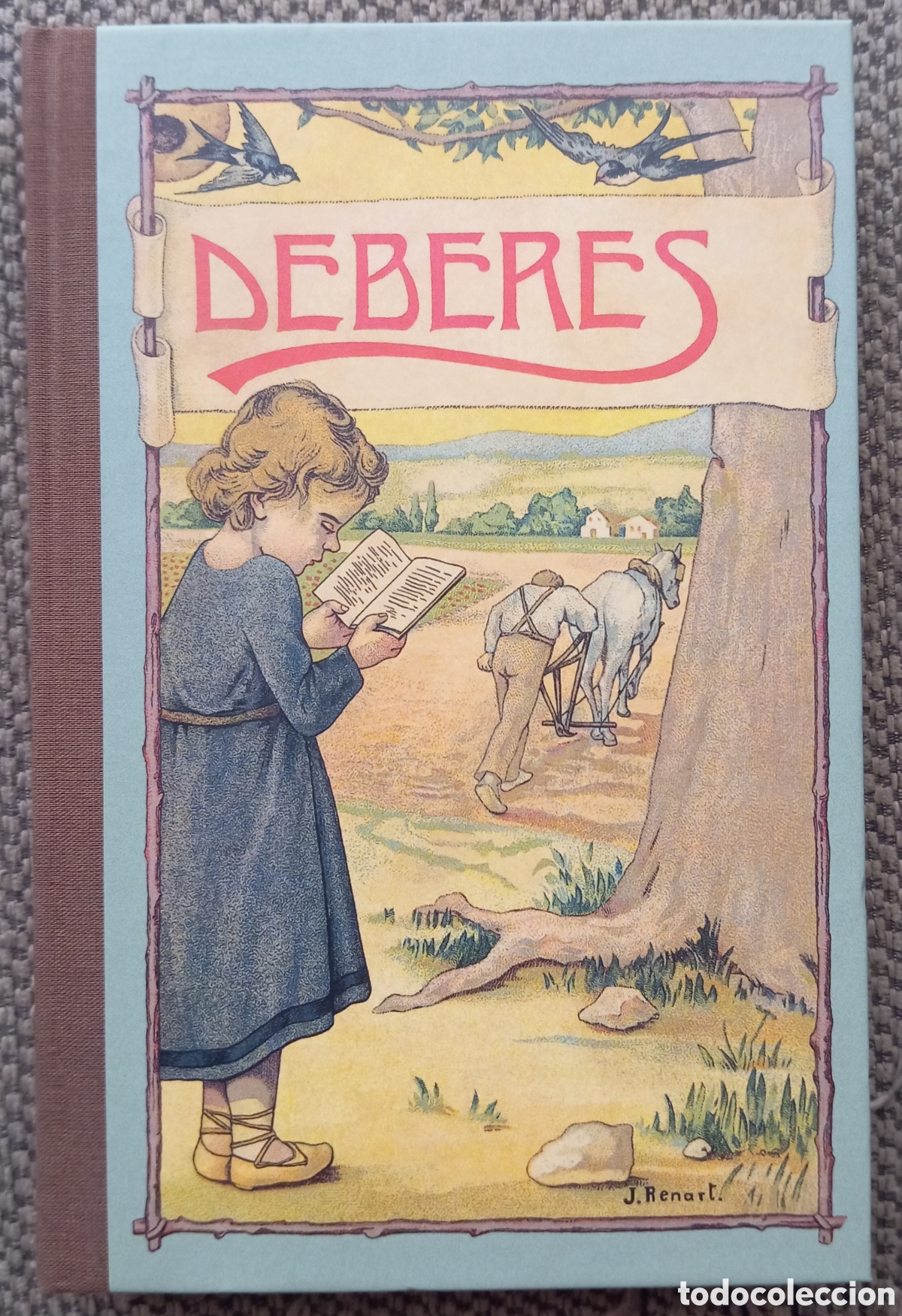 Libros: DEBERES - TORRAS - DALMAU CARLES