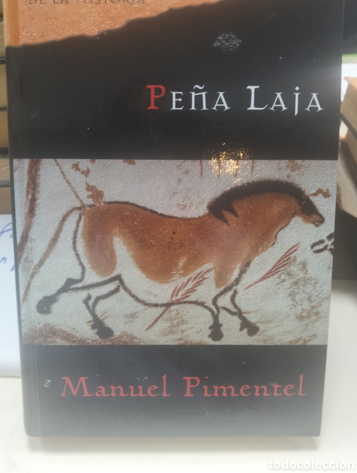 Libros: Pe&ntilde;a laja /Manuel Pimentel