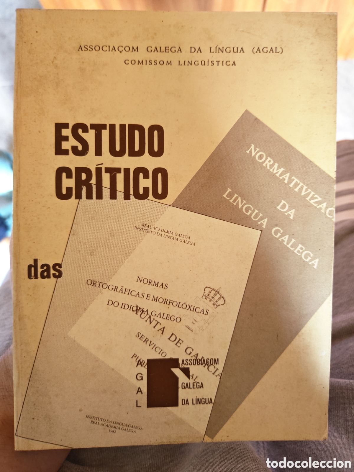 Livros em segunda m&atilde;o: Estudo cr&iacute;tico das normas ortogr&aacute;ficas e morfol&oacute;gicas do idioma galego