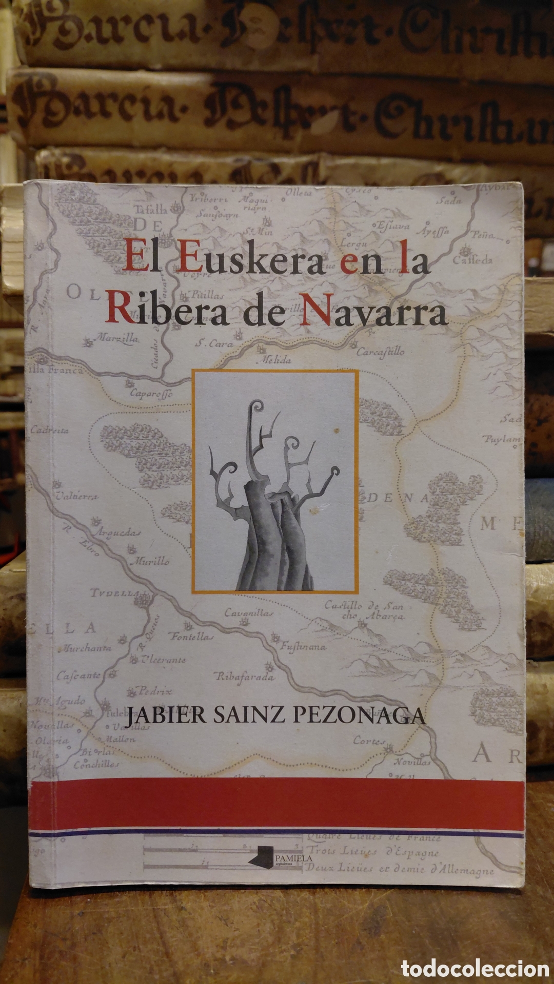 B&uuml;cher: EL EUSKERA EN LA RIBERA DE NAVARRA. - SAINZ PEZONAGA, Javier.