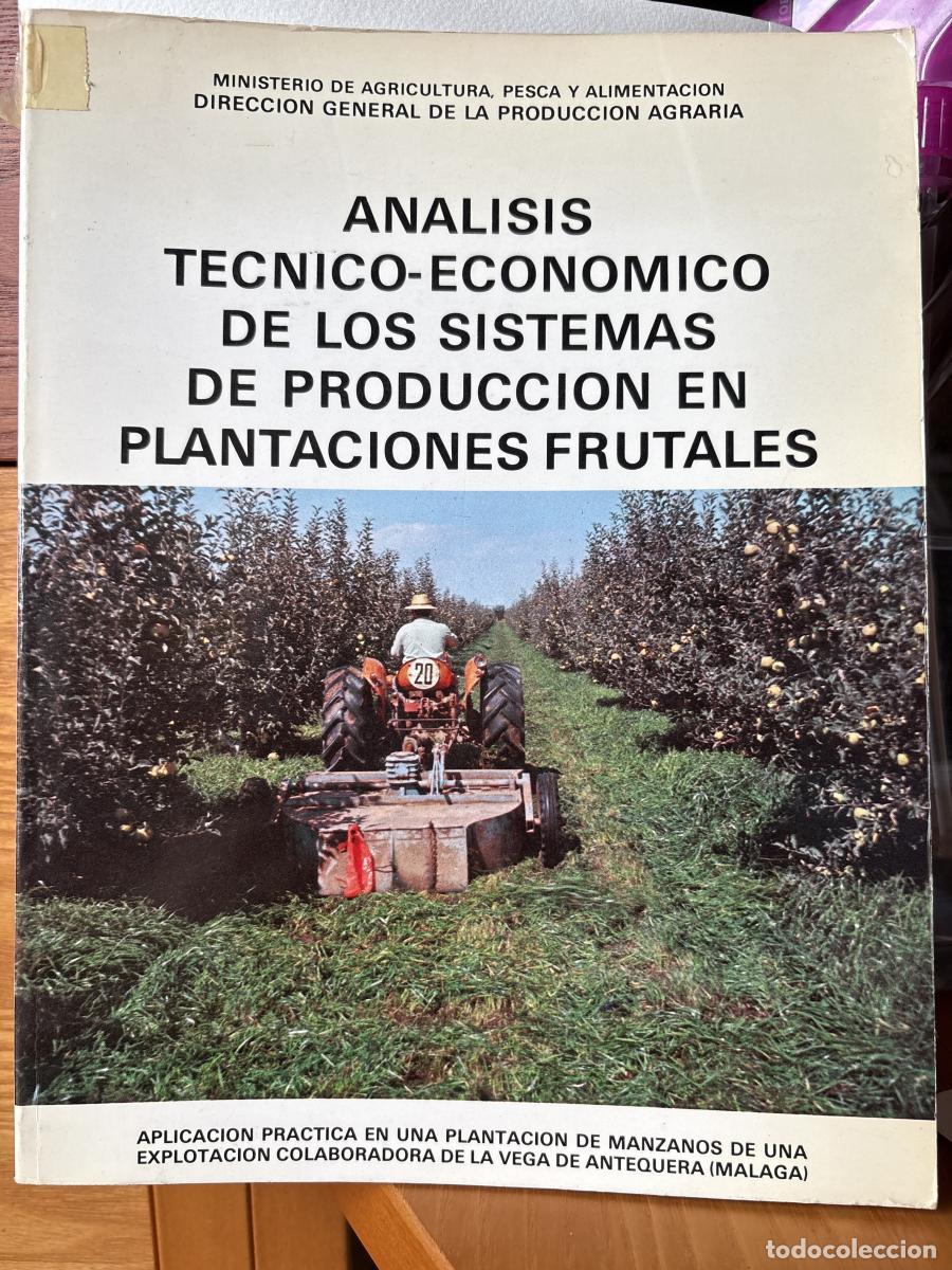 Livros em segunda m&atilde;o: ANALISIS TECNICO ECONOMICO DE LOS SISTEMAS DE PRODUCCION EN PLANTACIONES FRUTALES - Dir. Gral. Produ
