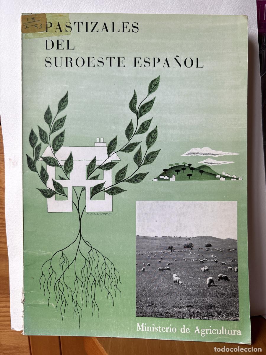 PASTIZALES DEL SUROESTE ESPA&Ntilde;OL - TDK161