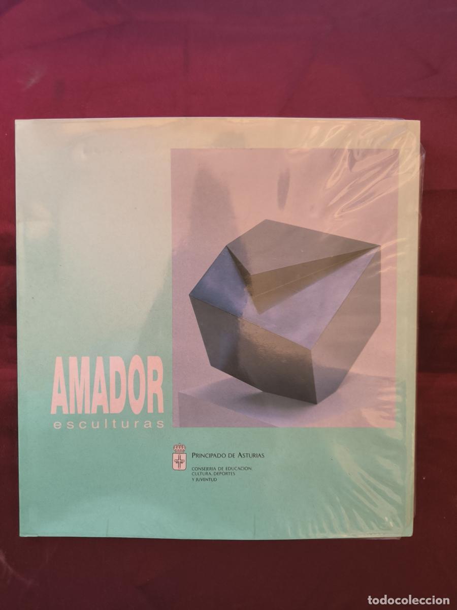 Libros: Amador. Esculturas [Cat&aacute;logo de la exposici&oacute;n celebrada en el Centro de Escultura de Cand&aacute;s, Museo A