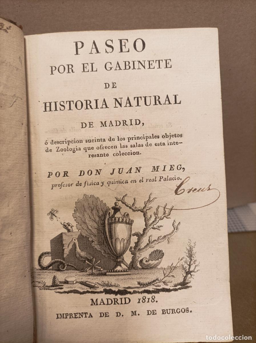 Libros: MIEG, Juan.- - Paseo por el Gabinete de Historia Natural de Madrid.