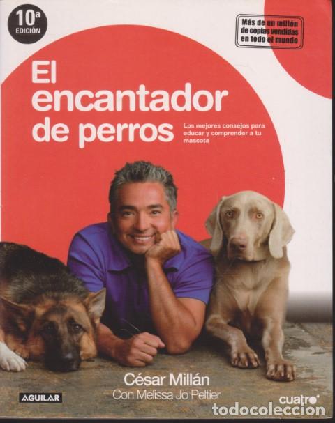 Livros em segunda m&atilde;o: EL ENCANTADOR DE PERROS. LOS MEJORES CONSEJOS PARA EDUCAR Y COMPRENDER A TU MASCOTA - C&Eacute;SAR MILL&Aacute;N