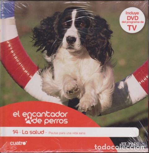 Livros em segunda m&atilde;o: EL ENCANTADOR DE PERROS. 14. LA SALUD. PAUTAS PARA UNA VIDA SANA - CARLOS RODR&Iacute;GUEZ - C&Eacute;SAR MILL&Aacute;N