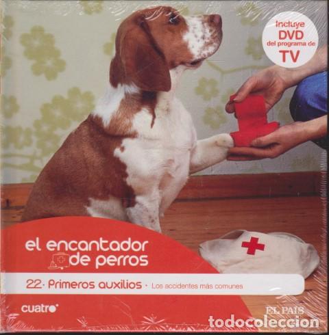 Livros em segunda m&atilde;o: EL ENCANTADOR DE PERROS. 22. PRIMEROS AUXILIOS. LOS ACCIDENTES M&Aacute;S COMUNES - CARLOS RODR&Iacute;GUEZ - C&Eacute;SA