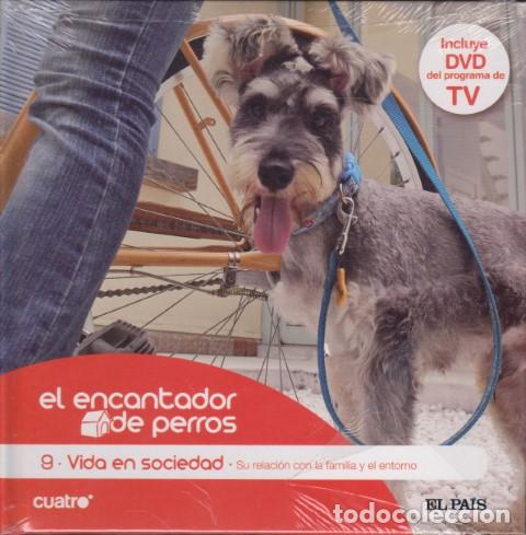 Livros em segunda m&atilde;o: EL ENCANTADOR DE PERROS. 9. VIDA EN SOCIEDAD. SU RELACI&Oacute;N CON LA FAMILIA Y EL ENTORNO - CARLOS RODR&Iacute;