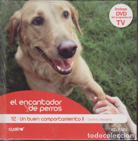 Livros em segunda m&atilde;o: EL ENCANTADOR DE PERROS. 12. UN BUEN COMPORTAMIENTO II. CONTROL Y DISCIPLINA - CARLOS RODR&Iacute;GUEZ - C&Eacute;