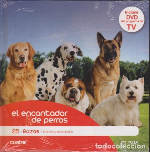 Livros em segunda m&atilde;o: EL ENCANTADOR DE PERROS. 25. RAZAS. HISTORIA Y DESCRIPCI&Oacute;N - CARLOS RODR&Iacute;GUEZ - C&Eacute;SAR MILL&Aacute;N