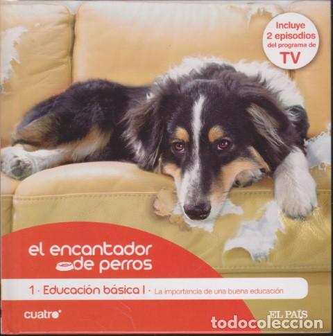 Livros em segunda m&atilde;o: EL ENCANTADOR DE PERROS. 1. EDUCACI&Oacute;N B&Aacute;SICA I. LA IMPORTANCIA DE UNA BUENA EDUCACI&Oacute;N - CARLOS RODR&Iacute;