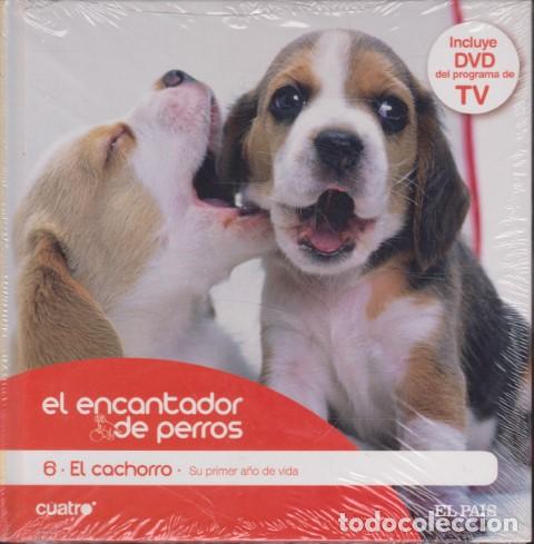 Livros em segunda m&atilde;o: EL ENCANTADOR DE PERROS. 6. EL CACHORRO. SU PRIMER A&Ntilde;O DE VIDA - CARLOS RODR&Iacute;GUEZ - C&Eacute;SAR MILL&Aacute;N