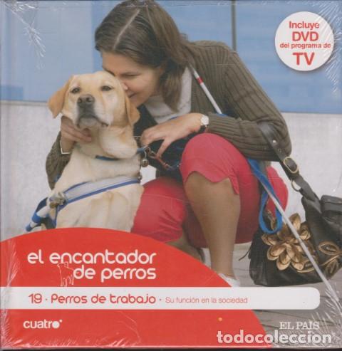 Livros em segunda m&atilde;o: EL ENCANTADOR DE PERROS. 19. PERROS DE TRABAJO. SU FUNCI&Oacute;N EN LA SOCIEDAD - CARLOS RODR&Iacute;GUEZ - C&Eacute;SAR