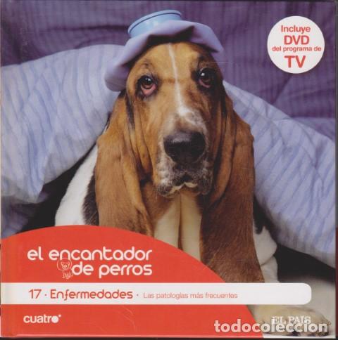 Livros em segunda m&atilde;o: EL ENCANTADOR DE PERROS. 17. ENFERMEDADES. LAS PATOLOG&Iacute;AS M&Aacute;S FRECUENTES - CARLOS RODR&Iacute;GUEZ - C&Eacute;SAR