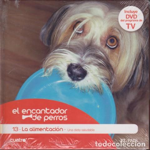 Livros em segunda m&atilde;o: EL ENCANTADOR DE PERROS. 13. LA ALIMENTACI&Oacute;N. UNA DIETA SALUDABLE - CARLOS RODR&Iacute;GUEZ - C&Eacute;SAR MILL&Aacute;N