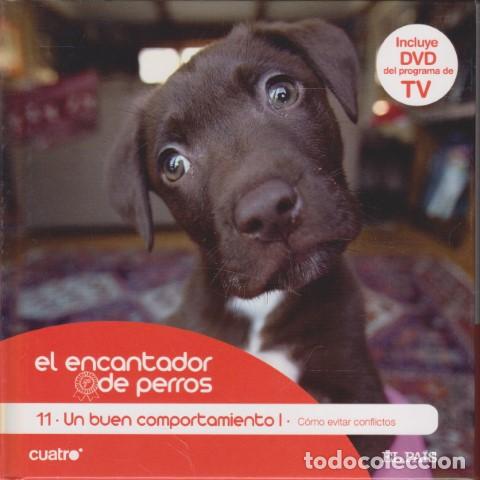 Livros em segunda m&atilde;o: EL ENCANTADOR DE PERROS. 11. UN BUEN COMPORTAMIENTO I. C&Oacute;MO EVITAR CONFLICTOS - CARLOS RODR&Iacute;GUEZ - C