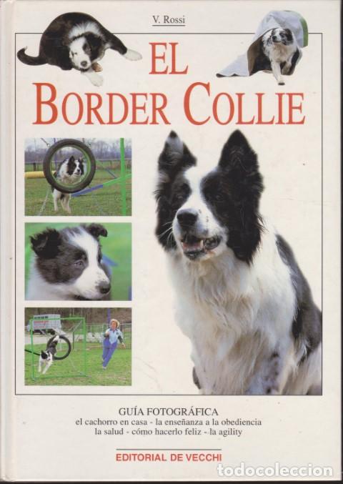 books: EL BORDER COLLIE - VALERIA ROSSI