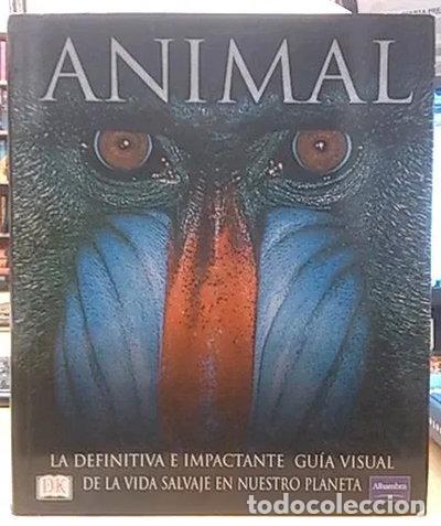 Libros: Animal- 9788420536163