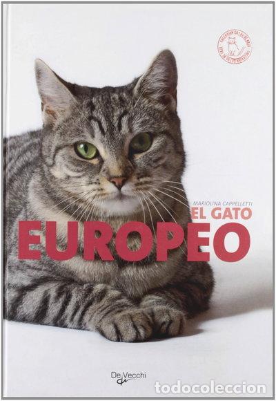 Libros: El gato europeo- 9788431534943