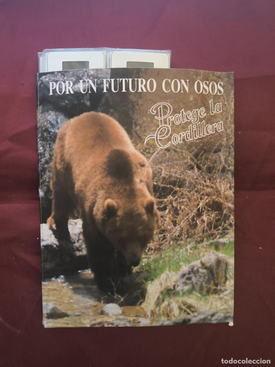 Libros: El oso pardo en la Cordillera Cant&aacute;brica (Campa&ntilde;a: &ldquo;Por un futuro con osos. Protege la cordillera&rdquo;)