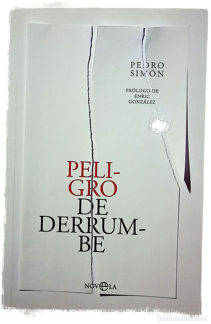 Libros: Peligro de derrumbe - Sim&oacute;n, Pedro