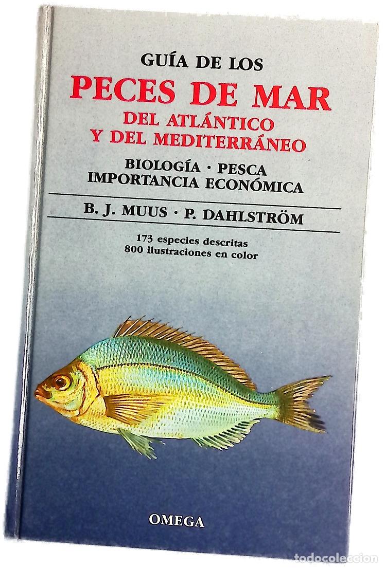 Libros: Gu&iacute;a de los peces de mar del Atl&aacute;ntico y del Mediterraneo biolog&iacute;a, pesca, importancia econ&oacute;mica