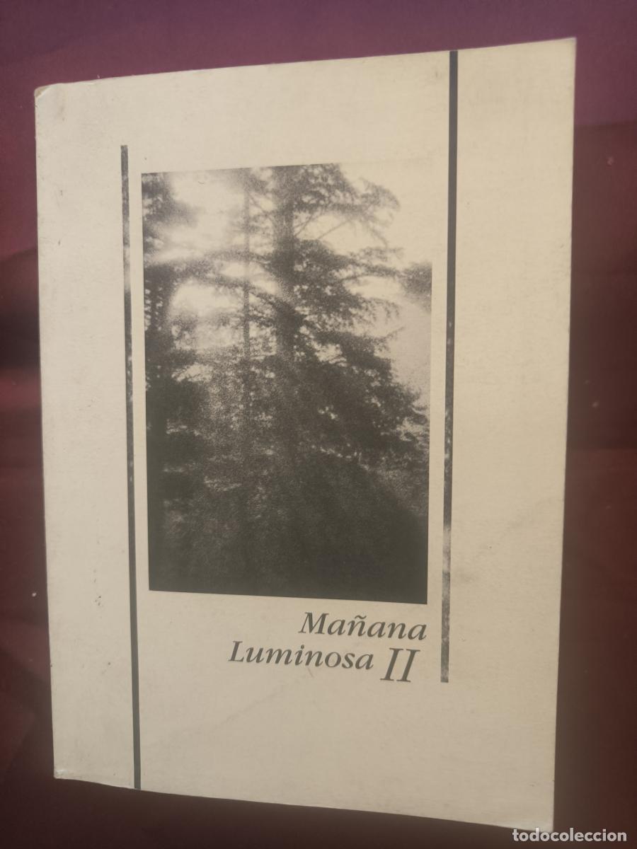 Libros: Ma&ntilde;ana luminosa. Libro II - vv.aa.