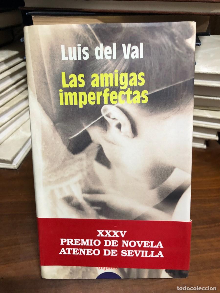 books: Las amigas imperfectas Luis del Val