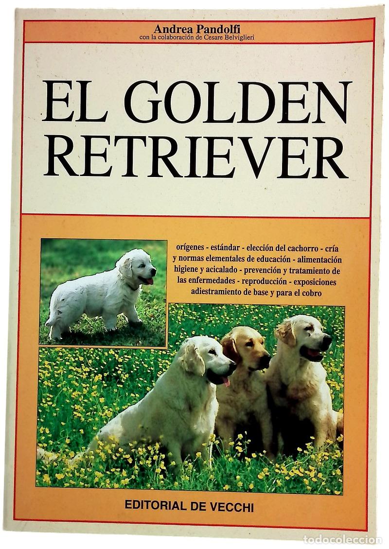 books: El golden retriever - Pandolfi, Andrea; Belviglieri, Cesare