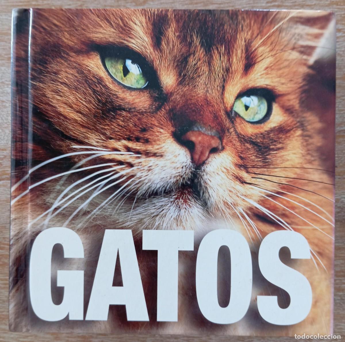 Libros: GATOS - CIRCULO DE LECTORES