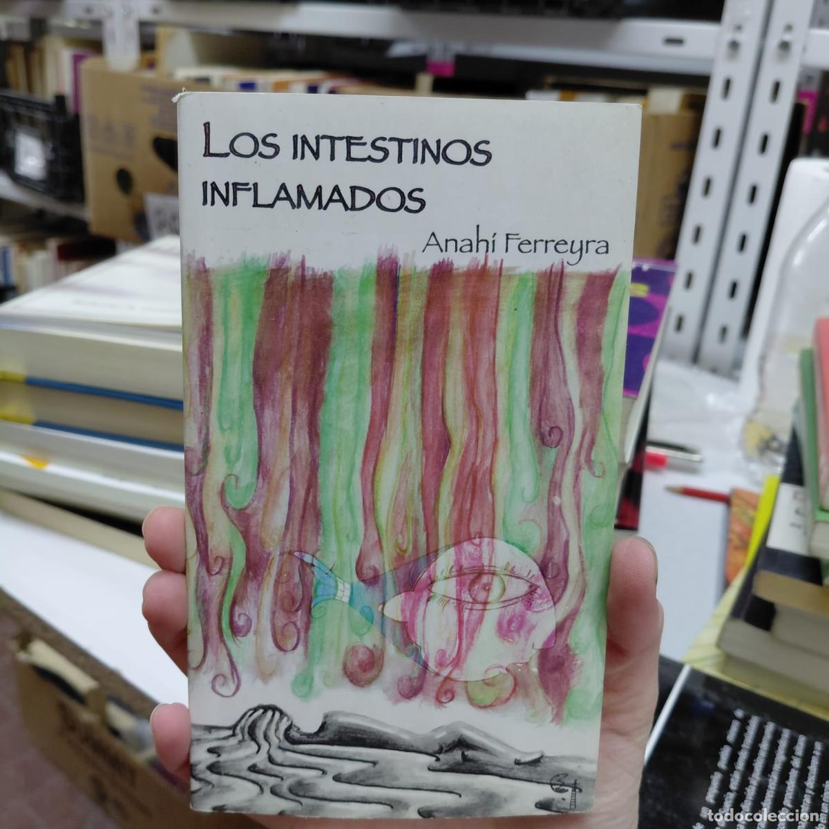 B&uuml;cher: Los Intestinos Inflamados De Anah&iacute; Ferreyra - Anah&iacute; Ferreyra