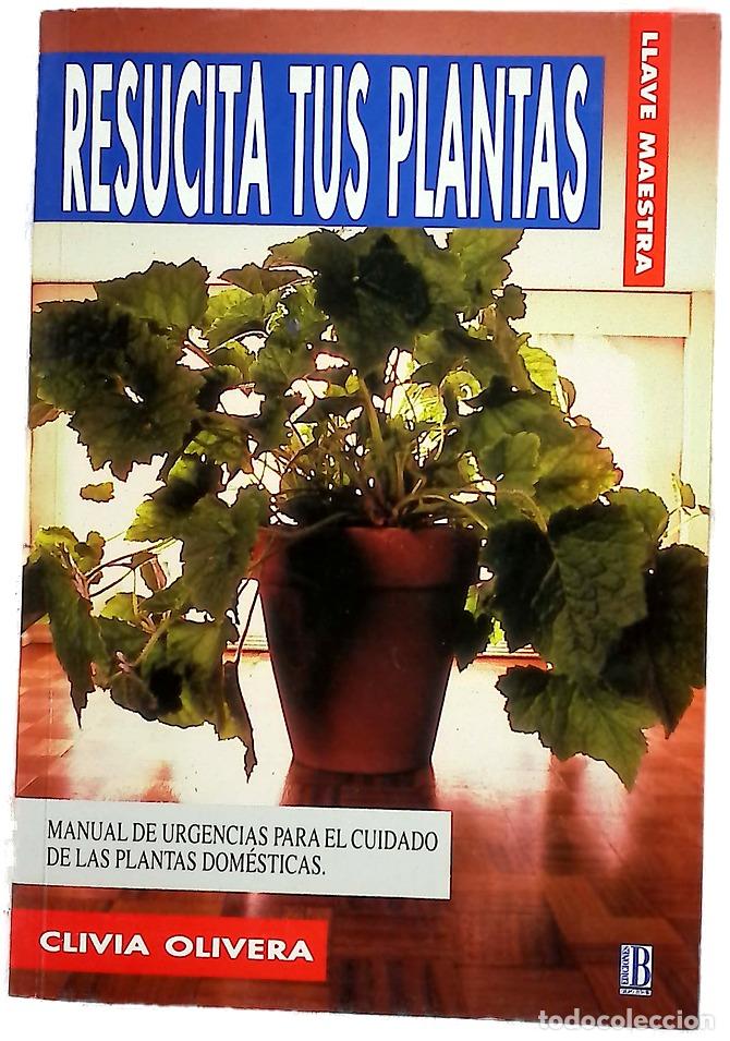Libros: Resucita tus plantas manual de urgencia para el cuidado de las plantas dom&eacute;sticas