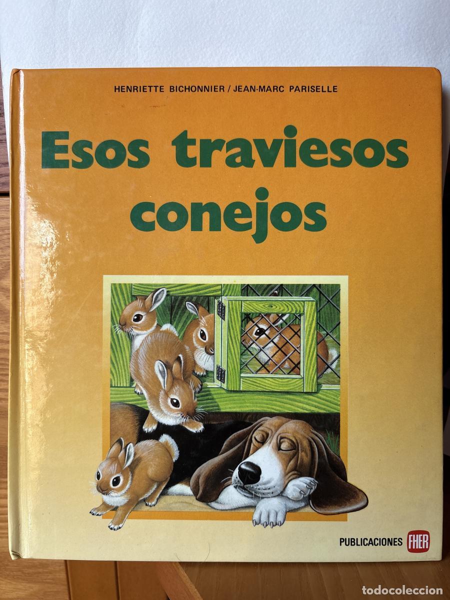 Libros: ESOS TRAVIESOS CONEJOS - BICHONNIER TDK142