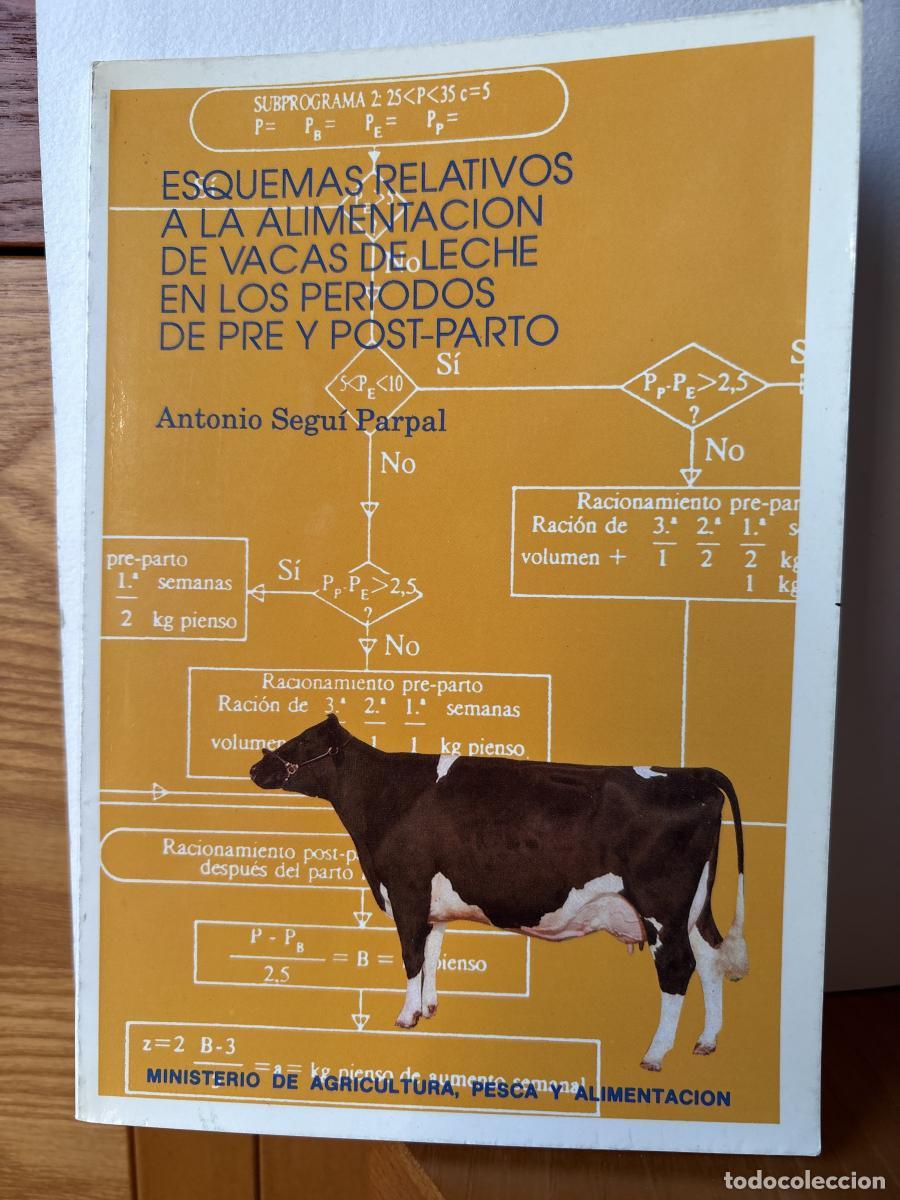 Libros: ESQUEMAS RELATIVOS A LA ALIMENTACION DE VACAS DE LECHE EN LOS PERIODOS DE PRE Y POST PARTO - ANTONIO