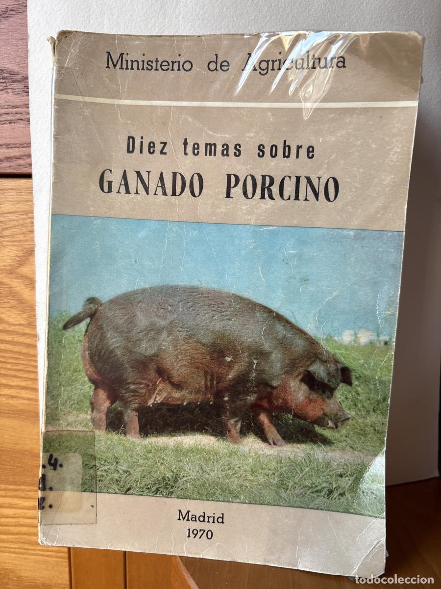 Libros: DIEZ TEMAS SOBRE GANADO PORCINO - TDK142