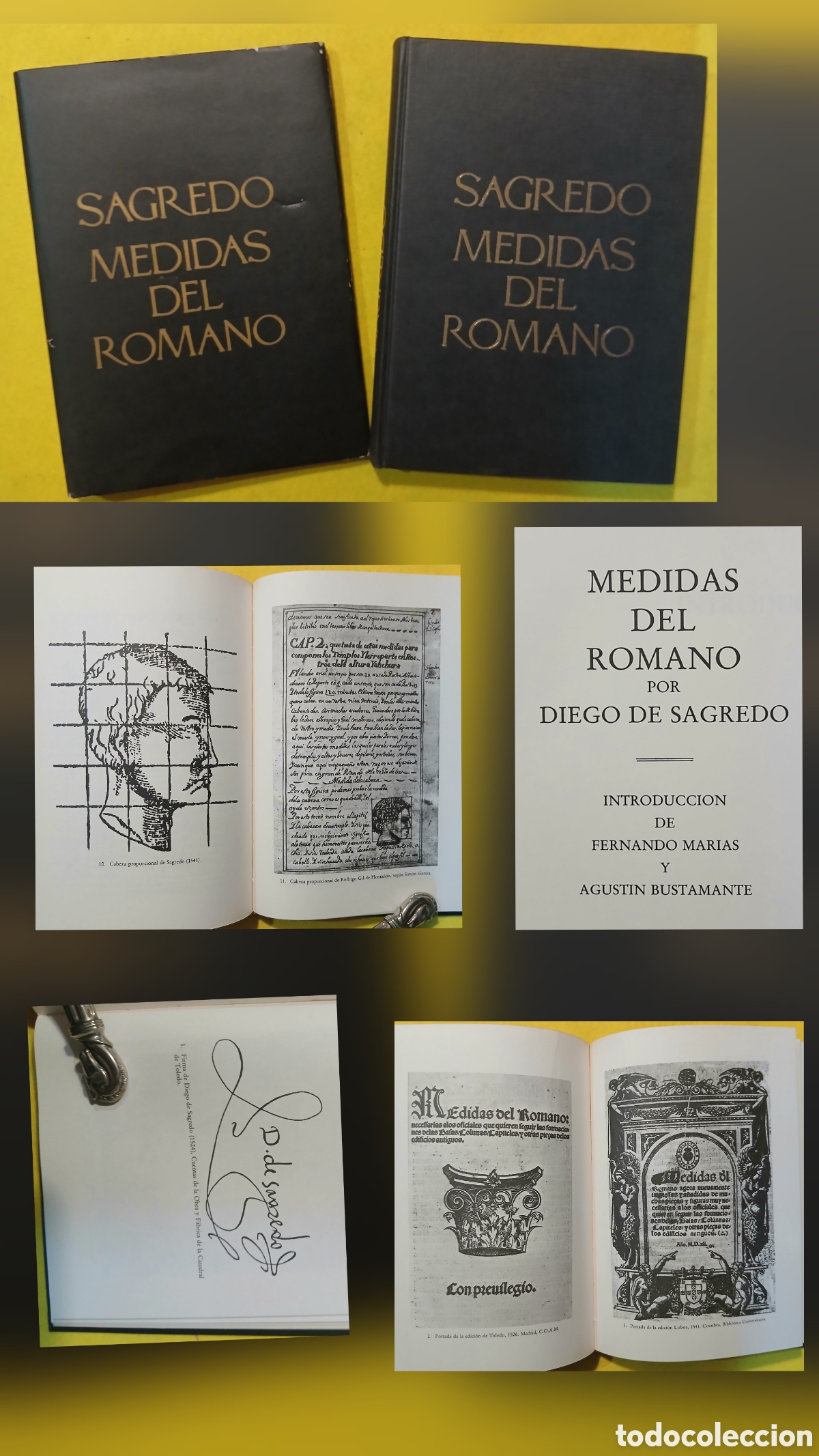 Libros: Sagredo, medidas del romano