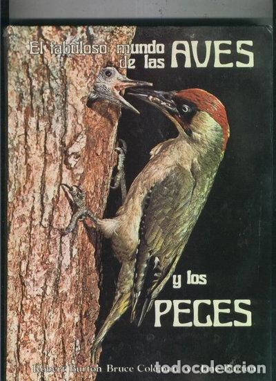 Livros em segunda m&atilde;o: El fabuloso mundo de las aves y los peces- 9788485258284