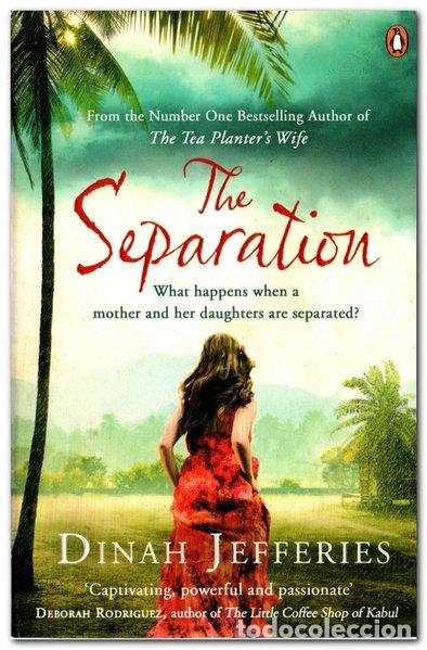 Livros em segunda m&atilde;o: The Separation- 9780241966051