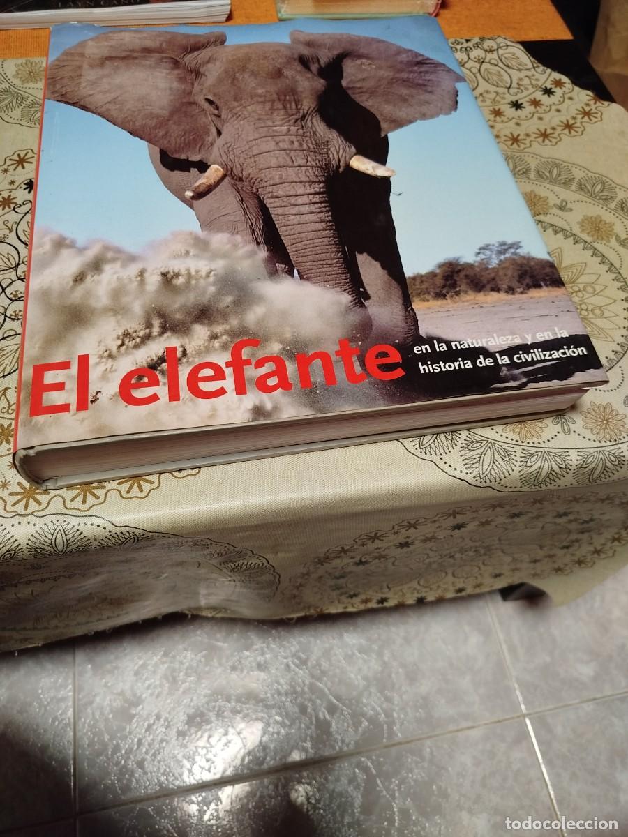 B&uuml;cher: El elefante. Ed konemann