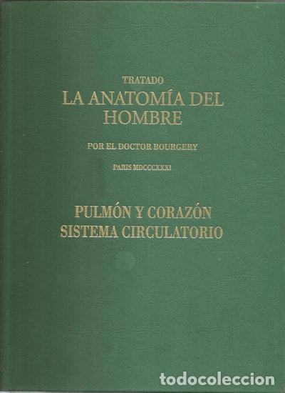 B&uuml;cher: Pulm&oacute;n y coraz&oacute;n, sistema circulatorio- 9788484733317