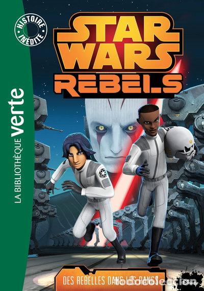 B&uuml;cher: Des rebelles dans les rangs- 9782014018592