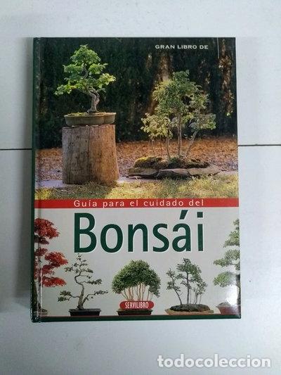 Libros: Gu&iacute;a para el cuidado del bons&aacute;i- 9788479715724