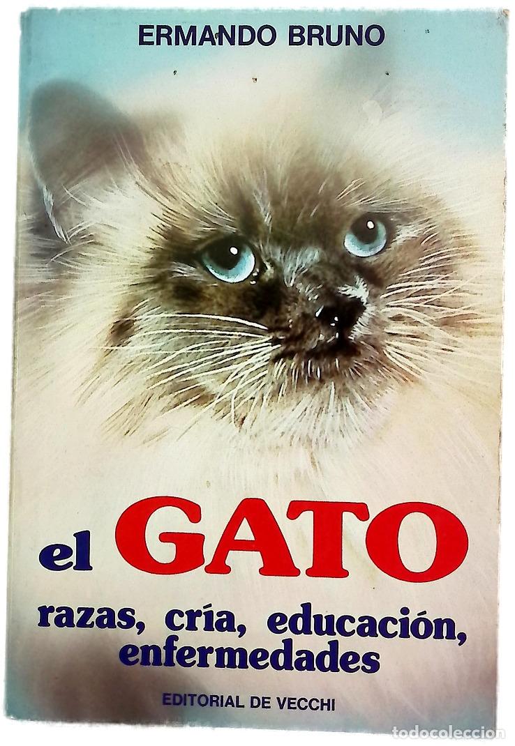 books: El gato razas, cr&iacute;a, educaci&oacute;n, enfermedades
