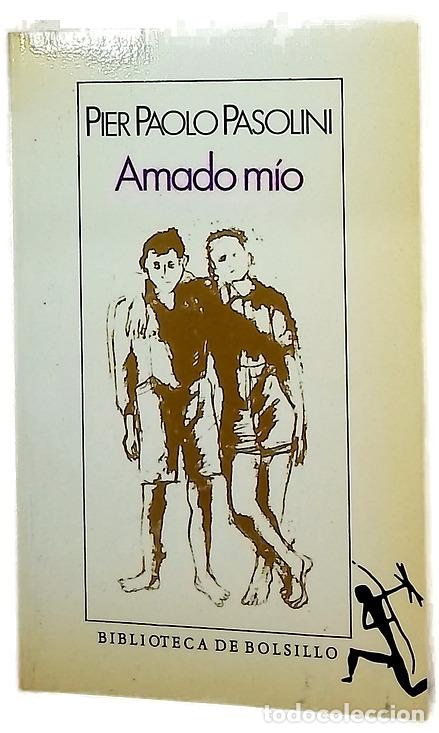 books: Amado m&iacute;o - Pasolini, Pier Paolo; Pardo, Jes&uacute;s; Binaghi, Jorge