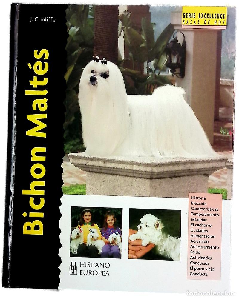 Livres: Bich&oacute;n malt&eacute;s - Cunliffe, Juliette
