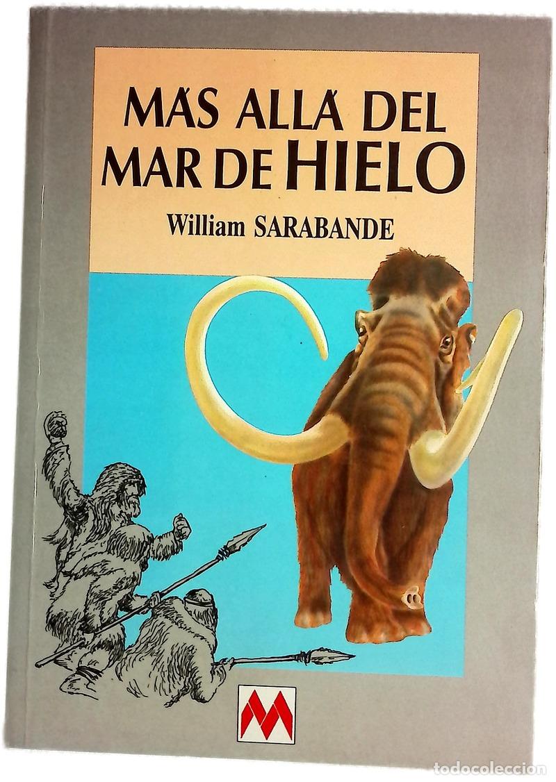 Livros em segunda m&atilde;o: M&aacute;s all&aacute; del mar de hielo