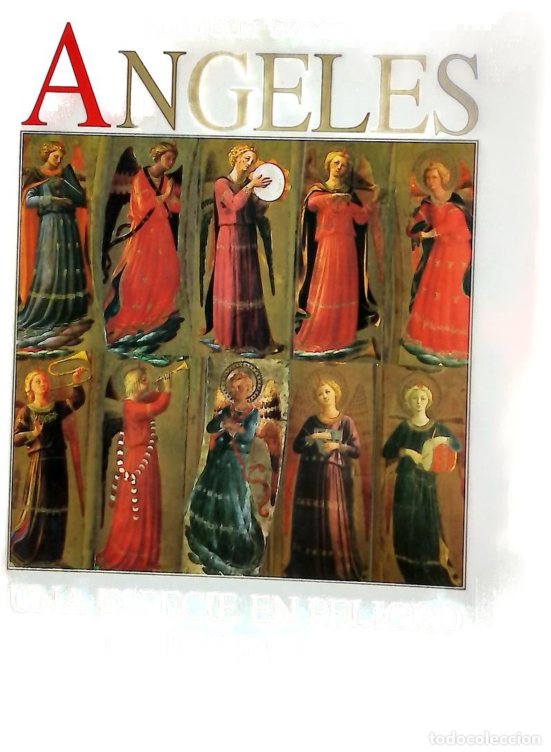 Libros: Angeles - Malcom Godwin - Robin Book