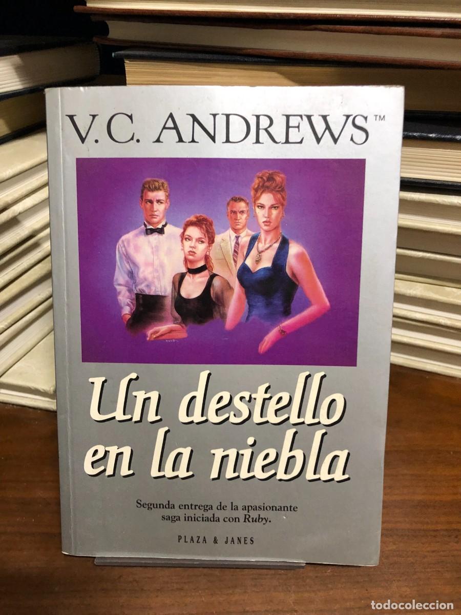 Libros: Un destello en la niebla V.C. Andrews