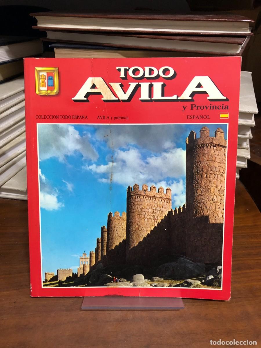 Libros: Todo &Aacute;vila y Provincia